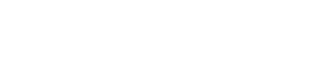 Customer 1