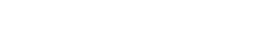 Customer 6